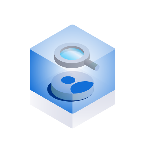 CubeVDI-Multi-Level Identity Verification